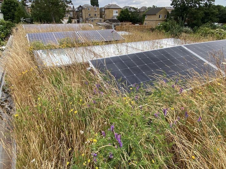 Solcellepaneler på et tak.